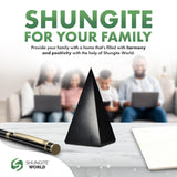 Shungite World méditation Reiki zen : favorise concentration et calme intérieur.