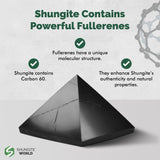 Objet de décoration Shungite World idéal pour bureau ou chambre.