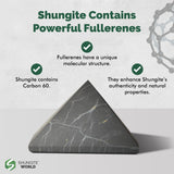 Shungite World pyramide offre protection contre les ondes et distractions.