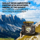 Siberian Green cuillère doseuse Shilajit – dosage précis