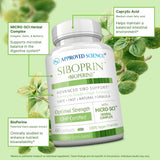 Épine-vinette présente dans Siboprin, associée à une routine digestive naturelle.