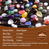 Ensemble coloré de pierres SigMntun pour déco zen
