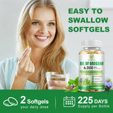 SIGNILIFE boîte capsules de voyage – format pratique pour déplacements