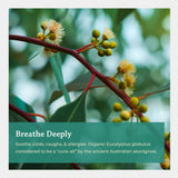 Emballage Silk Road Organic Eucalyptus Roll-On certifié USDA, pureté et traçabilité.