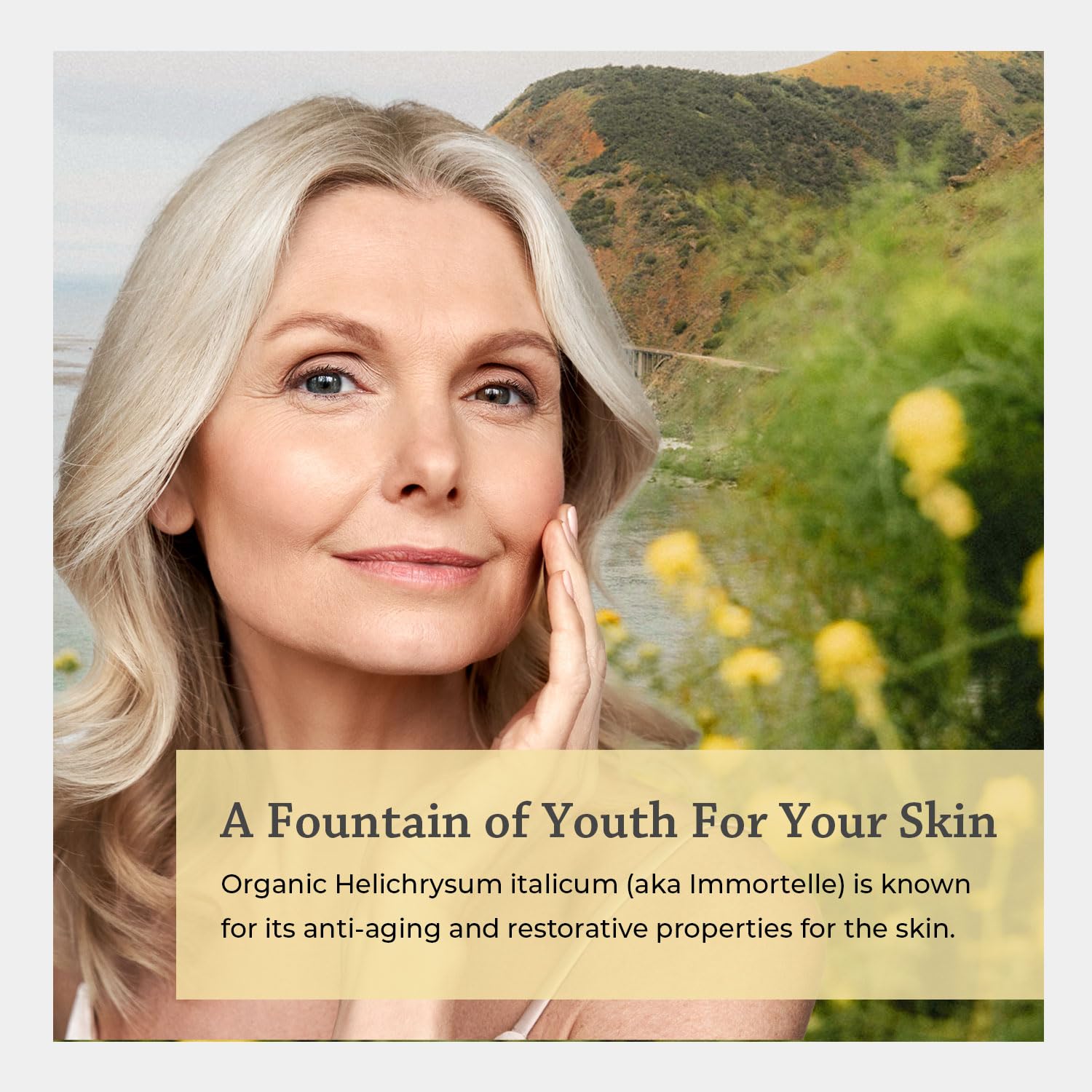 Silk Road Organic Roll-On Immortelle, arôme chaleureux et soin cutané pratique.