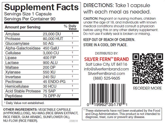 Silver Fern – capsules digestives noires faciles à avaler pendant le repas.