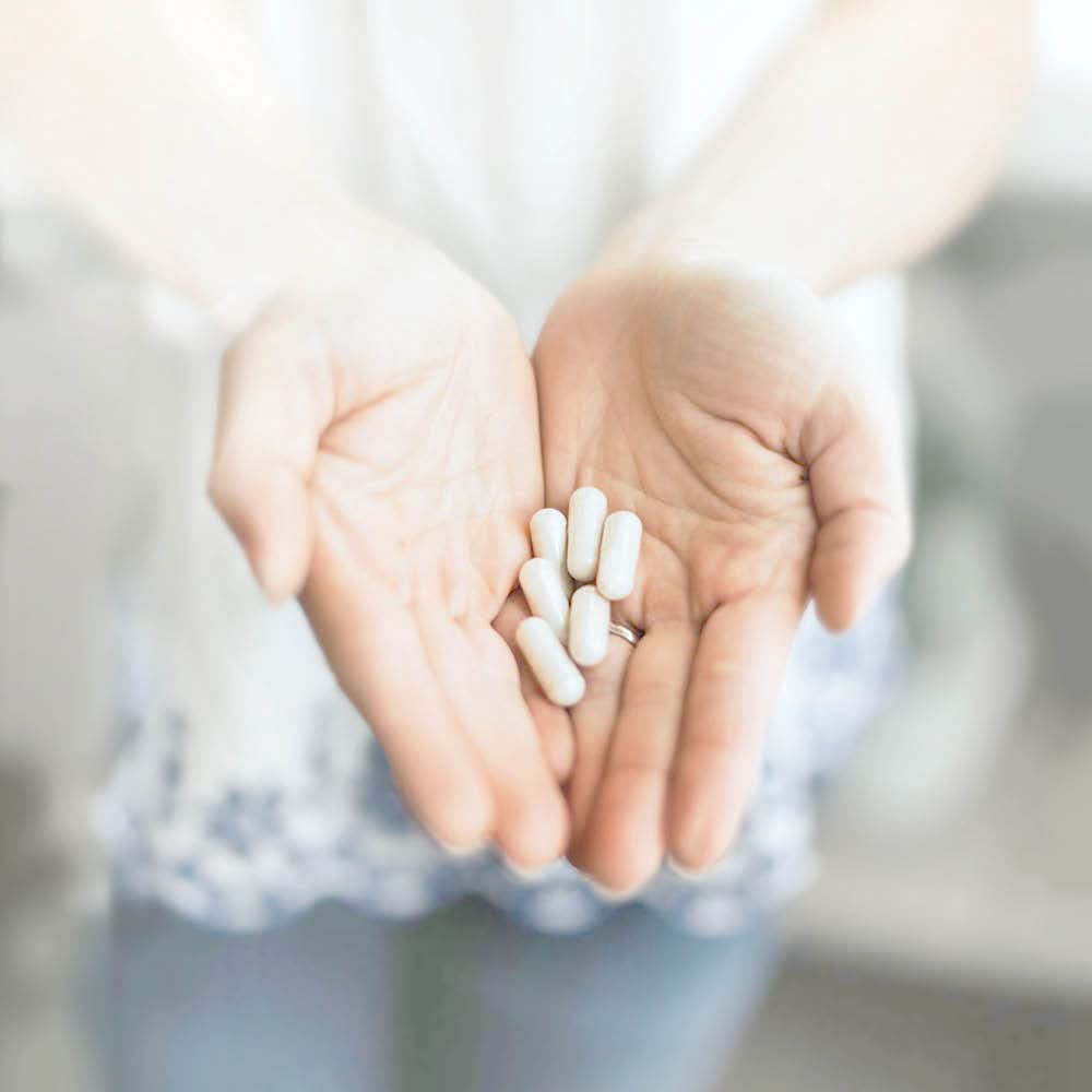 Soutien digestif et immunitaire potentiel – Silver Fern Probiotique.