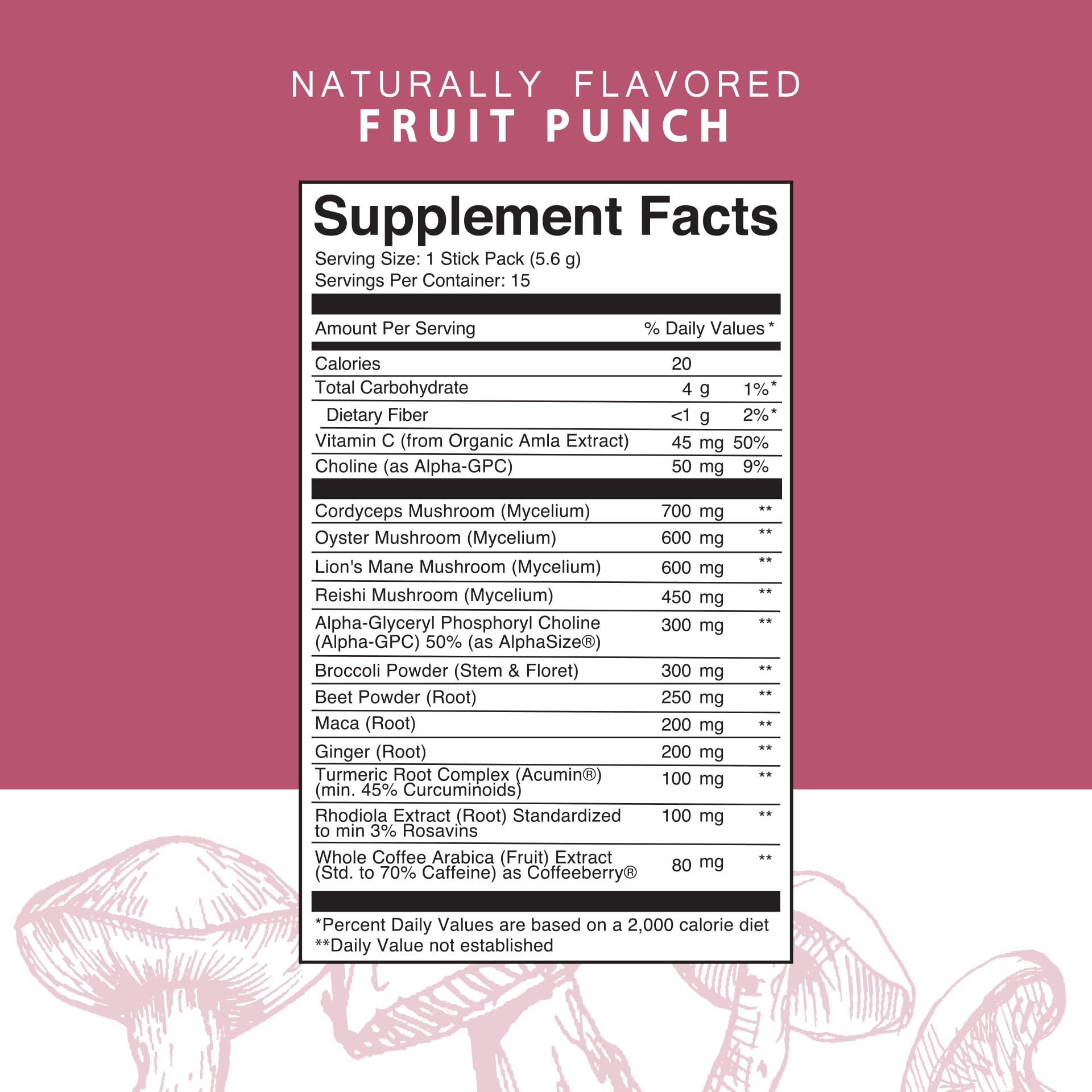 Focus Roots Supplement Roots Focus – Nootropique de champignons pour mémoire et concentration ...