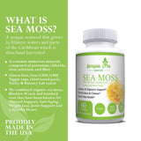 Mousse de mer Simple Life Nutrition — soutien immunitaire et digestion potentiels.