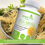 Mousse de mer Simple Life Nutrition — ingrédients Bardane et Fucus pour le bien-être.