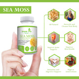 Mousse de mer Simple Life Nutrition — usage quotidien facile sans arrière-goût.