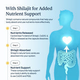 CardioClear7: capsule visible, soutien potentiel à l'endurance et énergie.