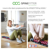 SISSEL Spinefitter Linum – bouée-refroidissement pour récupération musculaire rapide.
