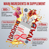 Sizyok NAD+ PQQ et quercétine : soutien énergie mitochondrienne.
