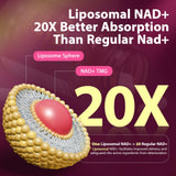 Sizyok NAD1100mg capsules dorées — format pratique quotidien.