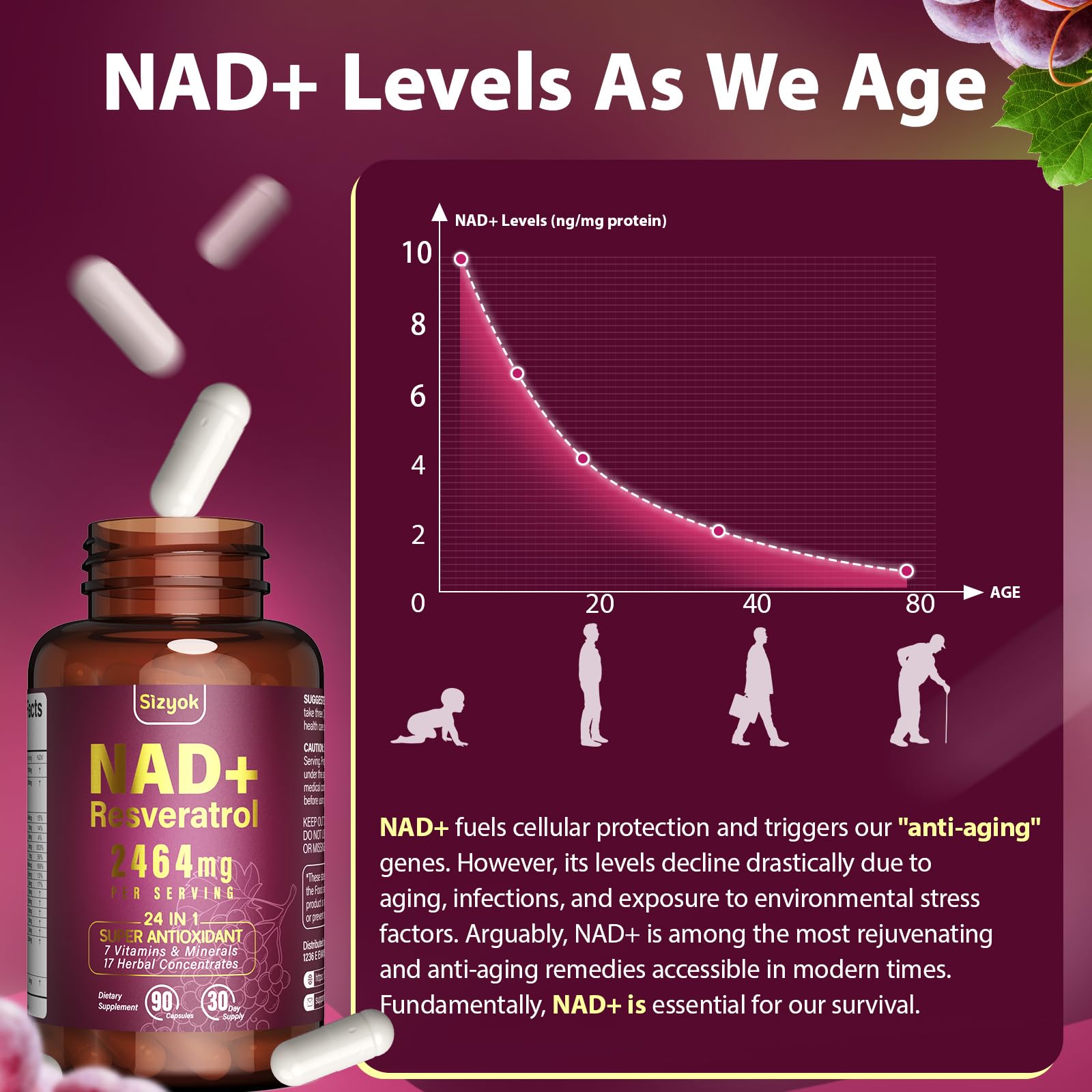 Sizyok NAD1100mg verre d'eau et capsules — prise facile.