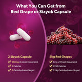 Poudre de raisin rouge Sizyok avec polyphénols et NAD+ en gros plan