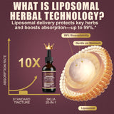 SKLIA gouttes liposomales ail: digestion confortable et vitalité quotidienne