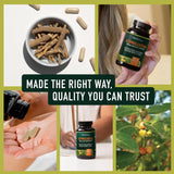 SMNutrition Ashwagandha – poudre racine visible, absorption potentielle améliorée