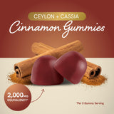 Combinaison cannelle de Ceylan et Cassia de SMNutrition, profil aromatique unique