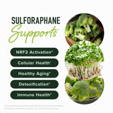 SMNutrition extrait de pousses de brocoli illustration montrant le glucoraphanine.