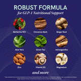 SMNutrition GLP-1 Support – curcuma et thé vert, mélange antioxydant.