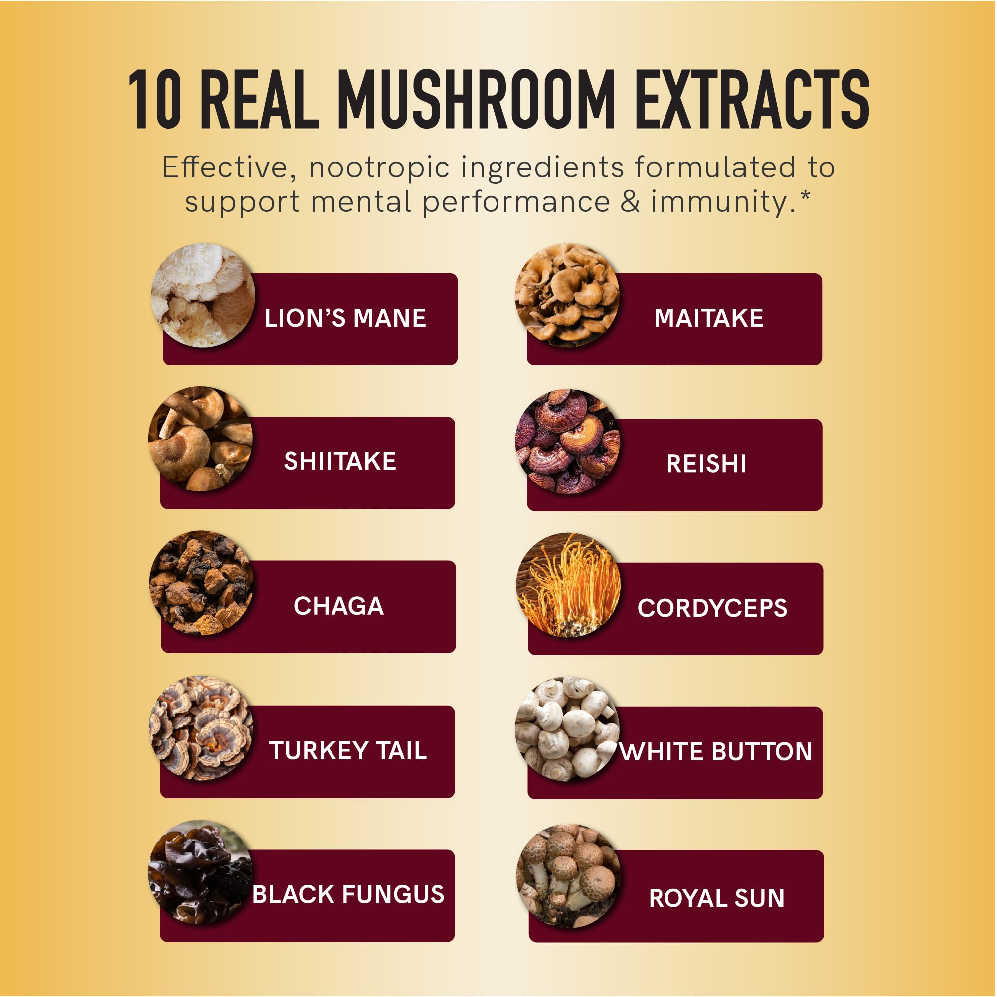 Gomme SMNutrition Chaga visuel, format pratique pour routine bien-être.