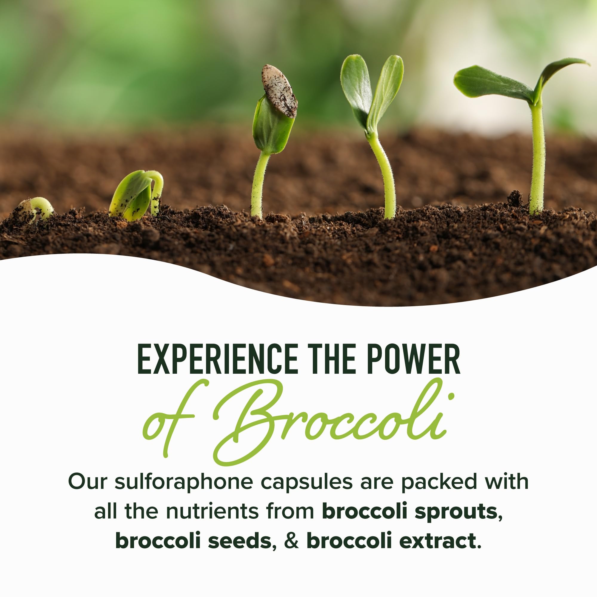 SMNutrition microperles retardées démontrant une libération progressive et absorption.