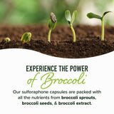 SMNutrition microperles retardées démontrant une libération progressive et absorption.