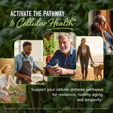 SMNutrition quotidien mode de vie sain et routine bien-être.