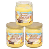 Bougie Smoke Odor Exterminator ananas et coco, neutralise les odeurs de fumée dans votre espace.