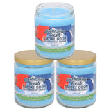 Bougie Smoke Odor Exterminator en pot 13 oz, parfum Fraîcheur corde à linge, pour les odeurs.