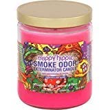 Smoke Odor Exterminator bougie-pot Trippy Hippie 13 oz crée une ambiance fraîche et réconfortante.