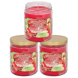 Bougie Cinnamon Apple Smoke Odor Exterminator, parfum durable pour rafraîchir votre salon.