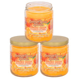 Bougie Smoke Odor Exterminator Orange Lemon Splash élimine les odeurs et parfume l’espace.