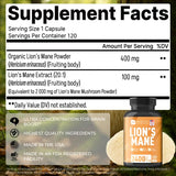 SN SMARTFIT NUTRITION extrait pur du corps fruitant pour performance cognitive.