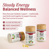 Snap Supplements Acide Alpha-Lipoïque – capsules, soutien métabolique quotidien.