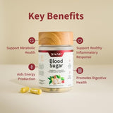 Snap Supplements Acide Alpha-Lipoïque – Capsules pratiques pour le métabolisme