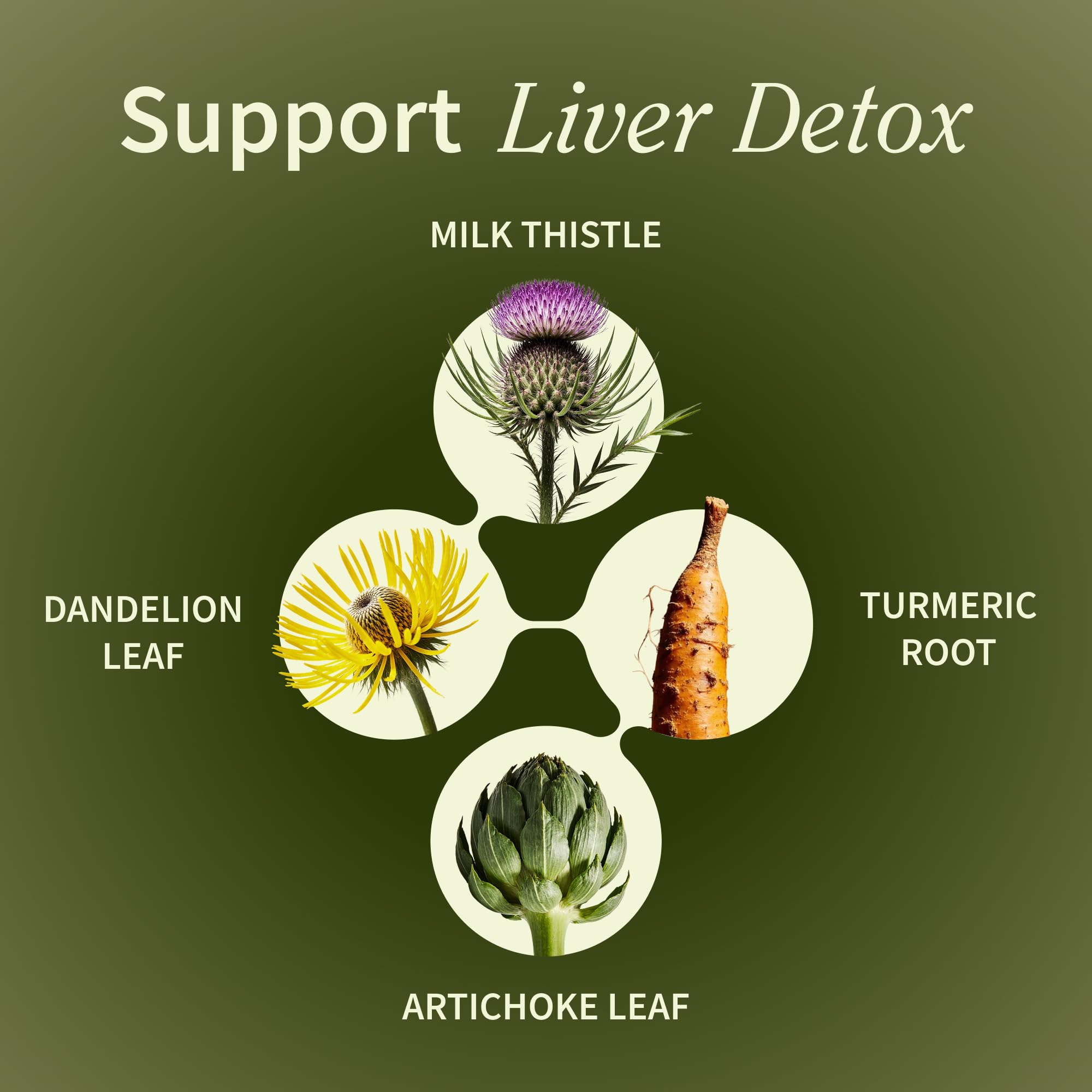 Artichaut Extrait Snap Supplements, capsules: soutien digestif naturel et foie en forme.