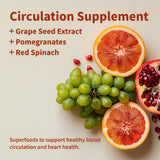 Snap Supplements Circulation – poudre naturelle, facile à mélanger dans l eau.