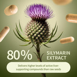Curcuma et résveratrol Snap Supplements, antioxydants, soutiennent la vitalité et la détox naturelle.