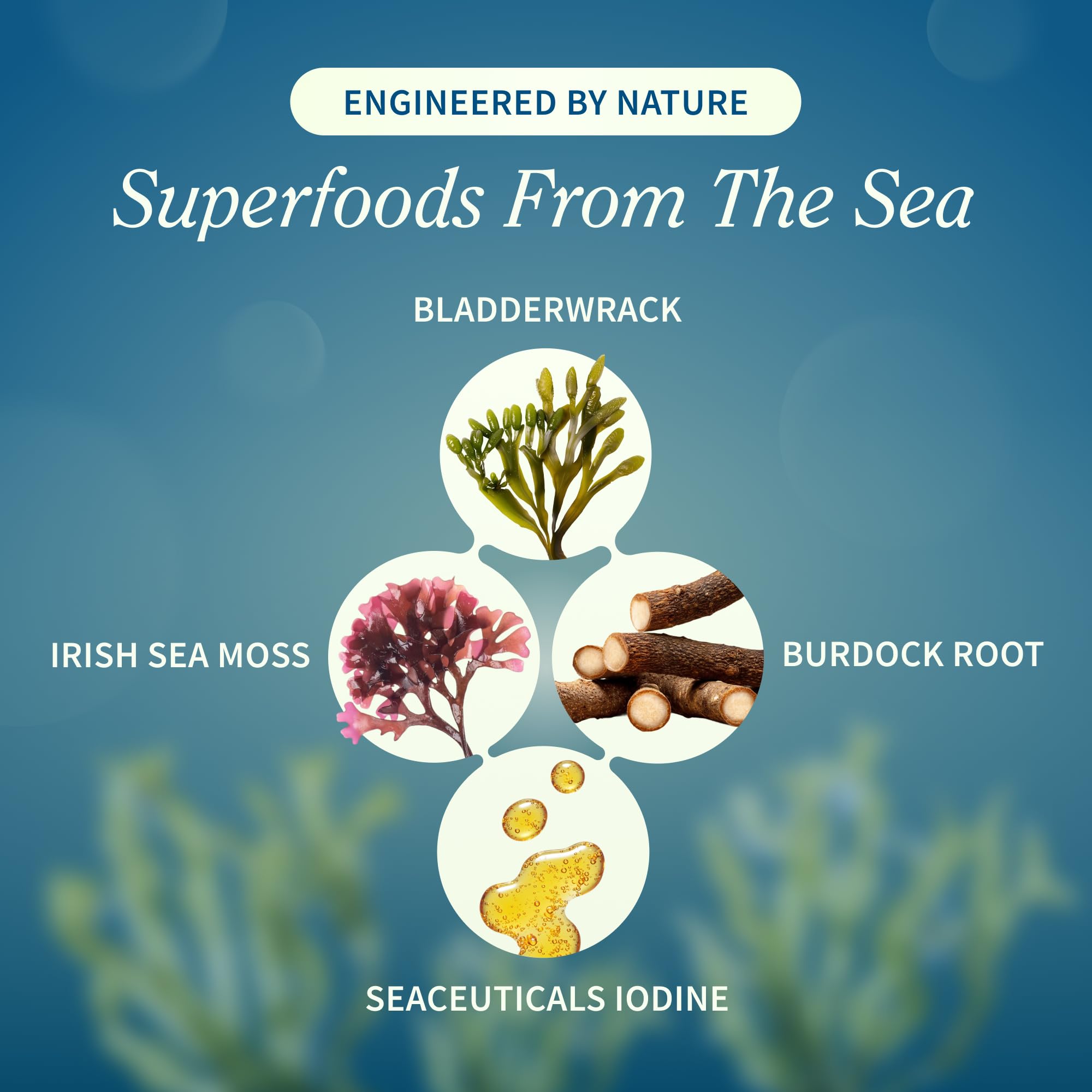 Snap Supplements extrait racine de bardane aide digestion et confort intestinal.