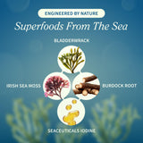Snap Supplements extrait racine de bardane aide digestion et confort intestinal.