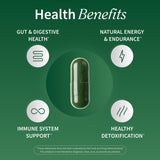 Ingrédients clés de Snap Supplements Spiruline et Chlorelle pour un profil nutritionnel.