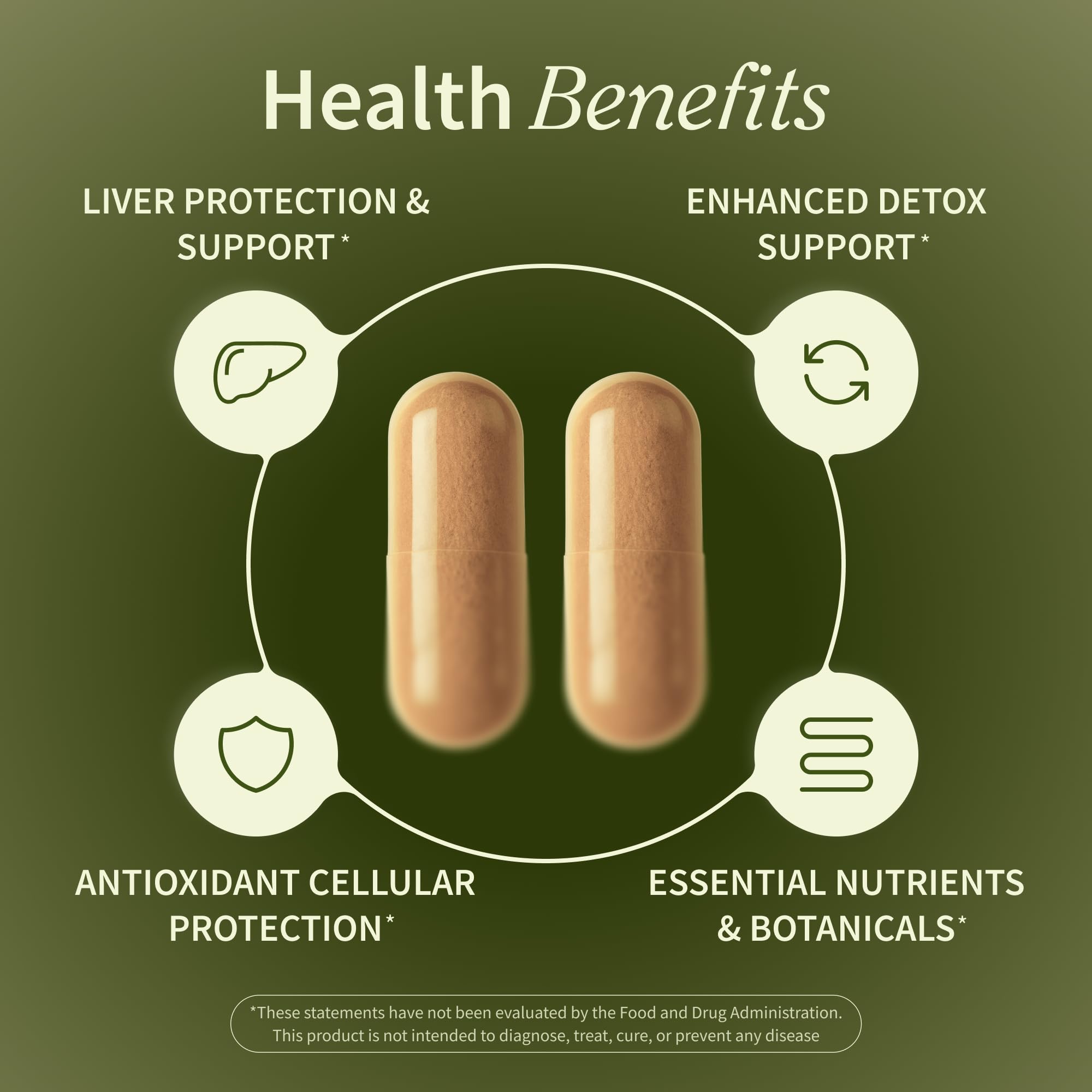 Racine de pissenlit Snap Supplements, antioxydants, favorise les processus naturels de détox.