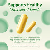 Berberine et ail: formulation Snap Supplements pour soutenir le métabolisme et la digestion.