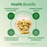 Bouteille Snap Supplements: 60 capsules pour une routine quotidienne pratique.