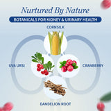 Étiquette Snap Supplements révélant les ingrédients naturels pour le bien‑être urinaire.