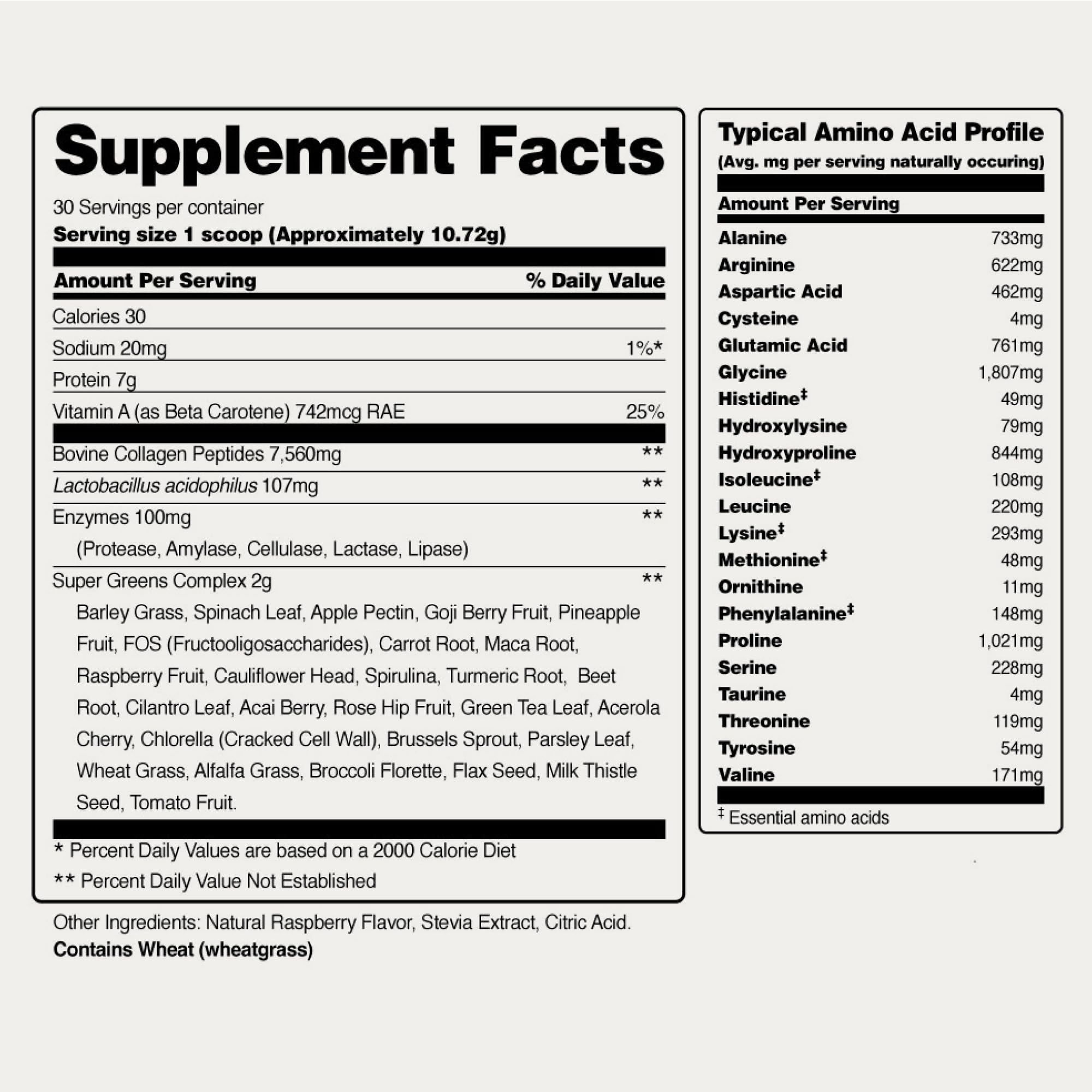 Snap Supplements Super Greens – ingrédients naturels sélectionnés.
