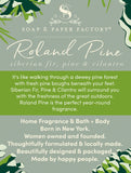 Roland Pine Diffuseur Soap & Paper Factory – ambiance salon chaleureuse.